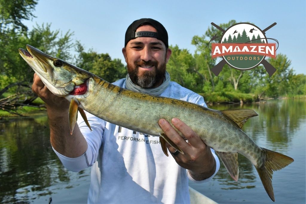 Muskellunge in St. Croix River